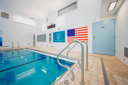 New York, Business Partners, Dolphin Swimming Flagship Pool