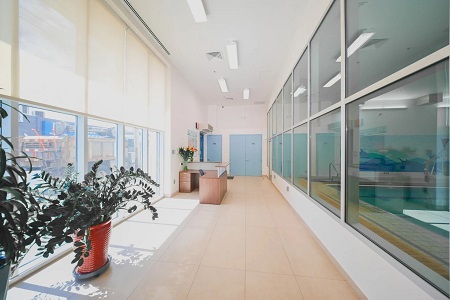 New York, Business Partners, Dolphin Swimming Flagship Pool