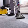 Affordable Carpet Cleaner Service For Everyday Maintenance