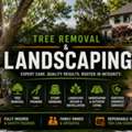 Trailblazer Turf & Timber - Tree Service Orange County NY