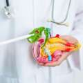 Naturopathic Cancer Care In Oakville With Personalized Support