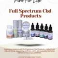 Natural Wellness Support Options