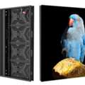 Advanced LED Advertising Screen For Indoor & Outdoor Use