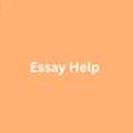 What Are The Best Essay Help Services Available?