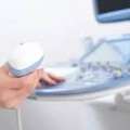Echocardiogram Mickleham