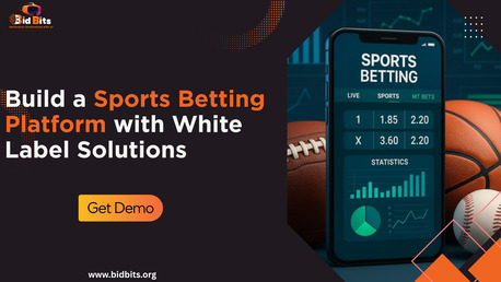 Austin, Software Development, Build A Sports Betting Platform With White Label Solutions