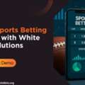 Build A Sports Betting Platform With White Label Solutions
