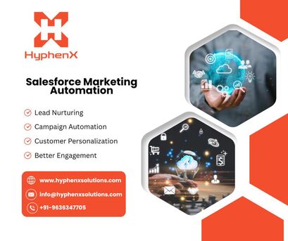 New York, Software Development, Salesforce Marketing Automation