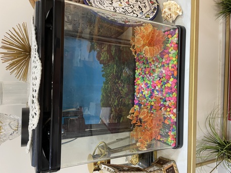 Buraidah, Household Items, Items For Sale