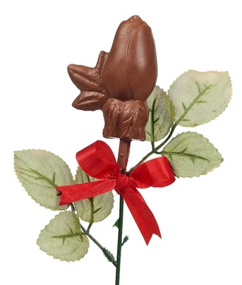 New York, Food, USD 100,  Long Stem Gourmet Chocolate Roses, One Dozen