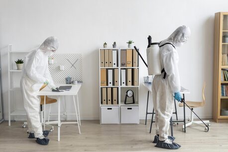 Sydney, Pest Control, Informed Building Inspections