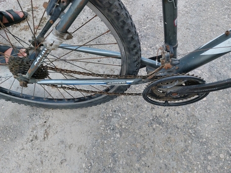 Dammam, Bicycles, SAR 130,  Cycle