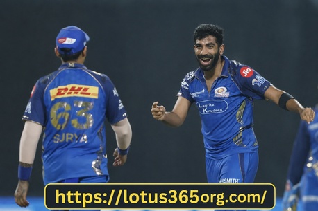 New Delhi, Business, Lotus 365 Sportsbook And Live Casino Platform Explained