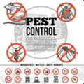 :-:PEST CONTROL Riyadh*Cleaning And Relocation Services Best PRICE_%_