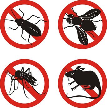 Riyadh, Pest Control, COCKROACH AND BED BUGS BEST PEST CONTROL💙SOLUTION WITH BEST PRICE=(0594815241)💙