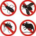 COCKROACH AND BED BUGS BEST PEST CONTROL💙SOLUTION WITH BEST PRICE=(0594815241)💙1