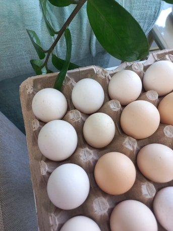 Sanad, Food, BHD 2,  Bahraini Eggs | بيض بحريني