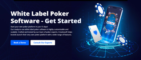 New York, Video Games, White Label Poker Software