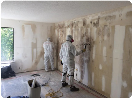 New York, Cleaning, Mold Removal Services In Kalispell, MT - Mold Remediation