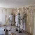 Mold Removal Services In Kalispell, MT - Mold Remediation