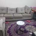 SAR 1000/month,  Furnished,  4 Sq. Meter,  Room Available For Doctor/Engineer/Professional