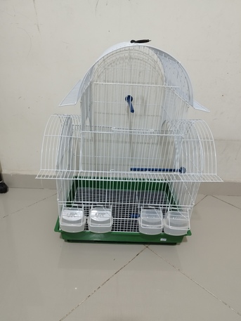 Jeddah, Pet Supplies, SAR 350,  🐦 4 Healthy Budgies With New Cage For Sale