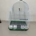 SAR 350,  🐦 4 Healthy Budgies With New Cage For Sale