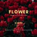 Enter The Global Flower Art Contest By TERAVARNA