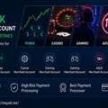 Offshore High Risk Merchant Account Solutions For Gaming, Forex, And High-Risk Businesses