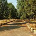 35000 Sq. Yard,  Hmda & Rera Approved Open Plots For Sale At Thukkuguda