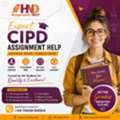 Struggling With CIPD Assignments? Get Professional HND Assignment Help
