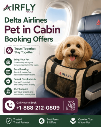 New York, Travel, Delta Airlines Pet In Cabin Booking Offers Call +1-888-212-0890