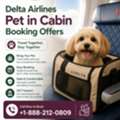Delta Airlines Pet In Cabin Booking Offers Call +1-888-212-0890