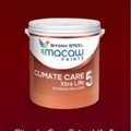 INR 800,  Climate Care Extra Life 5 Exterior Emulsion | Best Waterproof Paint For Exterior Walls