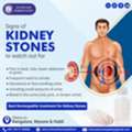 Kidney Stones Homeopathy Treatments In Bangalore -Rich Care
