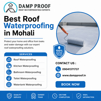 Chandigarh, Business, Roof Waterproofing Company In Mohali