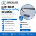 Roof Waterproofing Company In Mohali