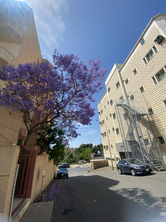Abha, Rooms for Rent, Rooms Availabe For Rent 1bhk ,2bhk ,3bhk
