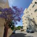 Rooms Availabe For Rent 1bhk ,2bhk ,3bhk