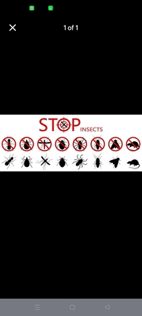 Al Badiah, Pest Control, H26PEST CONTROL&hearts;️SPRAYS&hearts;️And BED BUGS&hearts;️Solution With Guaranteed&hearts;️0575282420