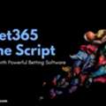 Secure Bet365 Clone Script For Sports Betting Platforms