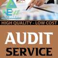 Audit Analysis