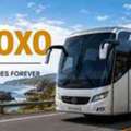 Charter  Bus,  2026,  300 KM,  Charter Bus New Jersey - Your 24/7 Journey Partner