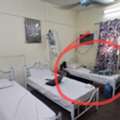 SAR 550/month,  1414 Sq. Meter,  One Bed Space  For Rent