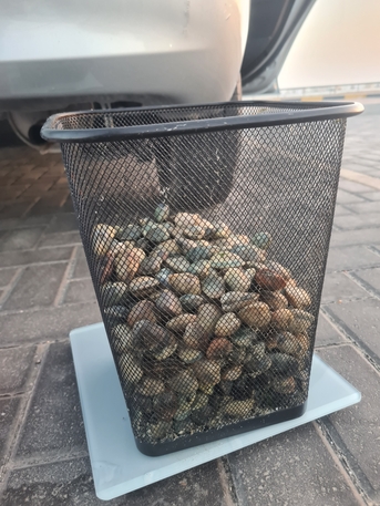Manama, Farm & Garden, BHD 2,  Fresh Clams Minimum 5 Kg Delivery Near Manama