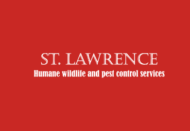 Toronto, Business, St-Lawrence Humane Wildlife And Pest Control Ltd.