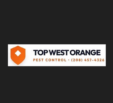 New York, Business, Top West Orange Pest Control