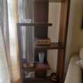 SAR 120,  Book Shelf From Saco