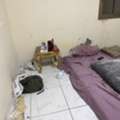 SAR 350/month,  Bee Space Available