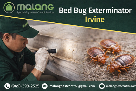 New York, Pest Control, Professional Bed Bug Control Orange County CA